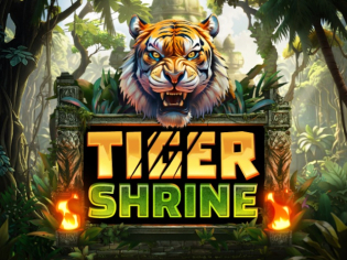 Casino Game